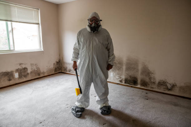 Professional Mold Removal in Brookhaven, GA